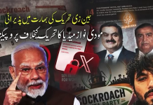 بھارت میں” کاکروچ جنتا پارٹی” کی مقبولیت؛ مودی حکومت اور کارپوریٹ میڈیا کا نوجوانوں کی “جین زی” تحریک کے خلاف پروپیگنڈا شروع