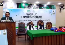 ملتان: عالمی یومِ ماحولیات کے حوالے سے سیمینار، ریلی اور شجرکاری مہم