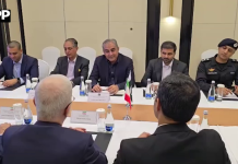وزیر داخلہ محسن نقوی کی ایرانی ہم منصب سے ملاقات