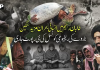 طالبان رجیم کی ناکام پالیسیوں سے افغانستان میں انسانی و معاشی بحران سنگین، لاکھوں افراد امداد کے منتظر