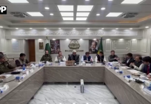 ملتان میں محرم الحرام کے دوران سکیورٹی کے غیر معمولی انتظامات مکمل
