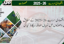 مالی سال 2025-26 کے دوران ٹیکس وصولیوں میں نمایاں اضافہ
