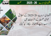 عوامی صحت کے اخراجات میں 17.3 ارب روپے کا اضافہ