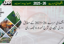 قومی اقتصادی سروے 2025-26 : پیداواری شعبے کی شرح نمو 6.6 فیصد رہی
