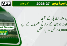 پی ایس ڈی پی ؛کابینہ ڈویژن کے ترقیاتی منصوبوں کے لیے 64,080 ملین روپے مختص