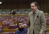 رکن قومی اسمبلی ریاض فتیانہ کا ہائر ایجوکیشن، برآمدات اور زرعی شعبے کے لیے مزید اقدامات پر زور