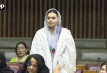 حکومت نے متوازن اور عوام دوست بجٹ پیش کیا، شمائلہ رانا