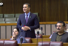 قومی اسمبلی: ایم این اے سید طارق حسین کی بجٹ بحث میں شرکت، پیپلز پارٹی کا مؤقف پیش