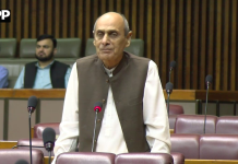 حکومت نے مؤثر اقدامات کے ذریعے معیشت کو استحکام کی راہ پر گامزن کیا، احمد سلیم صدیقی