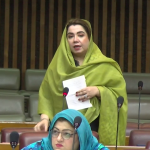 پاکستان خارجہ پالیسی کے باعث عالمی سطح پر نمایاں، خیبرپختونخوا میں بدامنی تشویشناک ہے، ثمر ہارون بلور