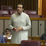صنعتکاروں اور پروفیشنلز کے لیے ملک میں روزگار کے مواقع پیدا کیے جائیں، صاحبزادہ امیر سلطان