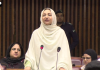 موجودہ حالات میں بجٹ متوازن، کسانوں اور آبادی کے مسئلے پر خصوصی توجہ کی ضرورت ہے، سائرہ افضل تارڑ