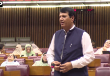 وفاقی وزیر امیر مقام کی وزیراعظم، فیلڈ مارشل عاصم منیر اور قوم کو کامیاب سفارت کاری پر مبارکباد