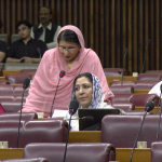 حکومت نے مشکل معاشی حالات میں متوازن بجٹ پیش کیا؛ ایم این اےتہمینہ دولتانہ