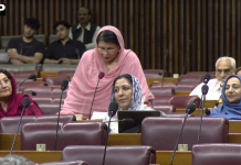 حکومت نے مشکل معاشی حالات میں متوازن بجٹ پیش کیا؛ ایم این اےتہمینہ دولتانہ