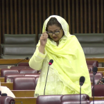 زیب جعفر کا بجٹ 2026-27 پر اظہار خیال، دفاع، معیشت اور سماجی شعبوں پر زور