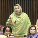بجٹ مشکل حالات میں عوامی ریلیف فراہم کرنے کی کوشش ہے، صبا صادق