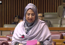 پاکستان نے کامیاب سفارت کاری کے ذریعے دنیا کو امن کی راہ پر گامزن کرنے میں اہم کردار ادا کیا ، آسیہ اسحاق صدیقی