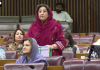 نزہت صادق کا بجٹ 2026-27 پر اظہار خیال، حکومتی پالیسیوں اور اصلاحات کی حمایت