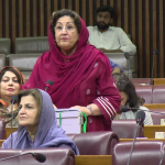 نزہت صادق کا بجٹ 2026-27 پر اظہار خیال، حکومتی پالیسیوں اور اصلاحات کی حمایت