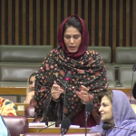 بجٹ عوامی ریلیف، معاشی استحکام اور کشمیر کی ترقی کا ضامن ہے، کرن عمران ڈار