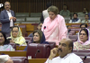 شائستہ پرویز کا منشیات کے بڑھتے رجحان پر قابو پانے کی حکومتی کوششیں تیز کرنے پر زور