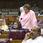 شائستہ پرویز کا منشیات کے بڑھتے رجحان پر قابو پانے کی حکومتی کوششیں تیز کرنے پر زور