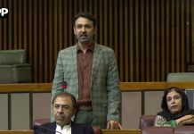 صحت بنیادی انسانی حقوق میں شامل ہے اور اس شعبے کو مزید مضبوط بنانے کے لیے اضافی فنڈز مختص کیے جانے چاہئیں، علی موسیٰ گیلانی