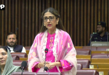 حکومت نے معاشی بحران سے نکل کر معیشت کو استحکام کی راہ پر گامزن کیا، ڈاکٹر شزرہ منصب علی خان کھرل