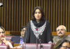 قومی اسمبلی اجلاس: ڈپٹی اسپیکر غلام مصطفیٰ شاہ کی زیر صدارت اجلاس میں بجٹ سے متعلق بحث جاری رہی