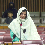 وفاقی بجٹ میں بلوچستان میں دانش اسکولوں کے قیام کے لیے فنڈز مختص کیے گئے ہیں، کرن حیدر