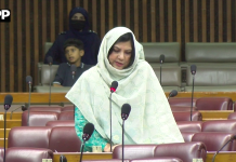 وفاقی بجٹ میں بلوچستان میں دانش اسکولوں کے قیام کے لیے فنڈز مختص کیے گئے ہیں، کرن حیدر