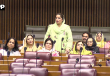 رابعہ نسیم فاروقی نے تعلیم اور نوجوانوں کی ترقی کے لیے حکومتی اقدامات کو سراہا