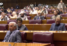 قومی اسمبلی نے جوہری توانائی، نیوکلیئر ریگولیٹری اتھارٹی، نیا پاکستان ہاؤسنگ اتھارٹی، نیشنل سکیورٹی ڈویژن اور انٹیلی جنس بیورو ڈویژن کے مطالباتِ زر منظور کر لی