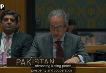 پاکستان کا شام میں مثبت پیش رفت کا خیرمقدم، شامی قیادت میں سیاسی منتقلی کے عمل کی حمایت کا اعادہ