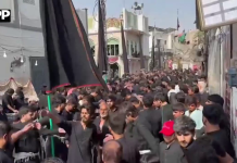 ڈیرہ اسماعیل خان :نو محرم الحرام: مرکزی جلوس امام بارگاہ بموں شاہ سے برآمد، جامع مسجد لاٹو فقیر پر اختتام پذیر ہوگا