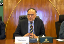 سینٹرل ڈویلپمنٹ ورکنگ پارٹی (سی ڈی ڈبلیو پی) کا اجلاس، مختلف شعبوں سے متعلق ترقیاتی منصوبوں کا جائزہ