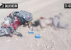 سکیورٹی فورسز نےخاران اور مستونگ میں انسداد دہشت گردی کی دو الگ کارروائیوں میں 8 دہشت گرد جہنم واصل کر دیئے، آئی ایس پی آر