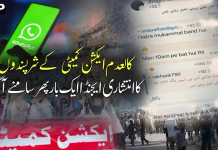کالعدم ایکشن کمیٹی کے شرپسندوں کی واٹس ایپ چیٹ لیک،انتشارپھیلانے کامذموم ایجنڈا بے نقاب
