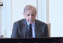 وزیراعظم کی زیرِ صدارت اجلاس، گلگت بلتستان کے لئے 100 میگا واٹ شمسی توانائی منصوبے کا جائزہ لیا گیا