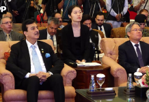 پاکستان اور چین کی دوستی مضبوط اور دیرپا ہے، قائم مقام صدر