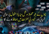 بچوں کے غیر محفوظ سوشل میڈیا استعمال سے سماجی، نفسیاتی اور سکیورٹی خطرات میں اضافہ، ماہرین کا قانون سازی پر زور