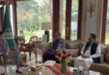 وزیراعلیٰ پنجاب مریم نواز شریف سے منڈی بہاؤالدین کے ارکان صوبائی اسمبلی کی ملاقات