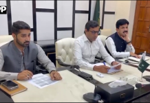لودھراں میں “سانجھی سبزی، سستی نہیں مفت سبزی” پروگرام تیز، 200 کنال سرکاری اراضی پر سبزیوں کی کاشت کا آغاز