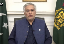 نائب وزیرِ اعظم و وزیر خارجہ اسحاق ڈار کا یومِ استحصال کے موقع پر پیغام