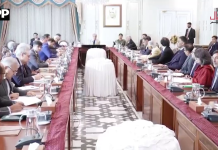 پاکستان خطے میں امن کے لیے اپنی مخلصانہ کوششیں جاری رکھے گا، وزیراعظم شہباز شریف