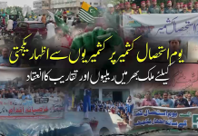 یوم استحصال کشمیر پر کشمیریوں سے اظہار یکجہتی کے لیے ملک بھر میں ریلیوں اور تقاریب کا انعقاد