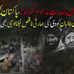 افغانستان-بھارت مذموم گٹھ جوڑ بے نقاب، بھارتی ناقص ڈرونز پاکستانی دفاع کے سامنے ناکام