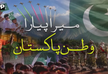 یومِ آزادی پر آئی ایس پی آر نے نیا ملی نغمہ ’’میرا پیارا وطن پاکستان‘‘ ریلیز کر دیا
