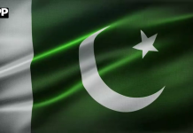 یوم آزادی نیشنل گرڈ کمپنی آف پاکستان (این جی سی) کے زیراہتمام پاکستان کا 80 واں یوم آزادی جوش و جذبے کے ساتھ منایا گیا